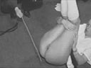 n�hled obr�zku - pro zv�t�en� klikn�te